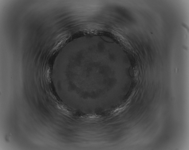X0000093761060200710161219
