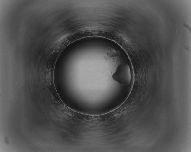 X0000093761062200710161219