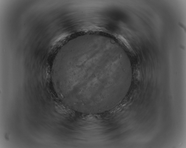 X0000093761063200710161219
