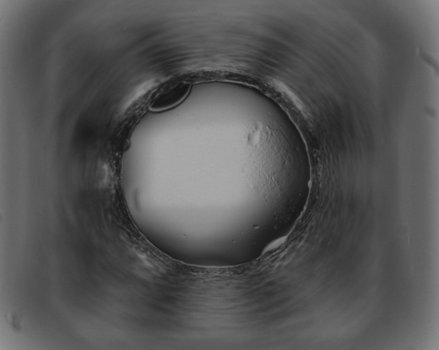 X0000093761064200710161219