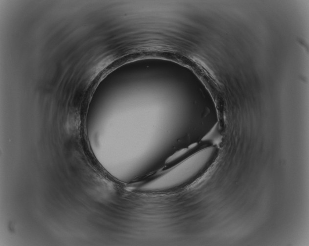 X0000093761065200710161219