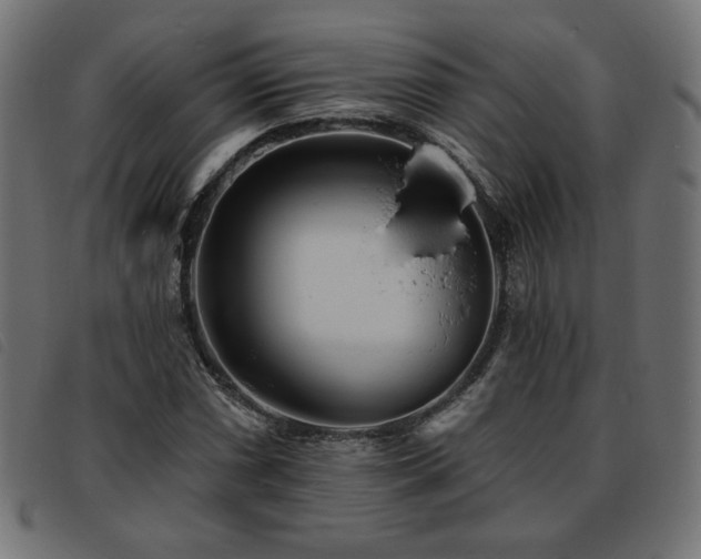 X0000093761066200710161219