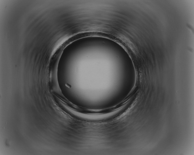 X0000093761069200710161219