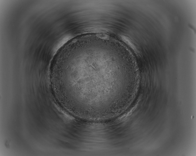 X0000093761071200710161219