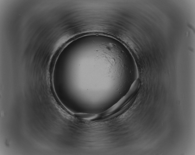 X0000093761072200710161219