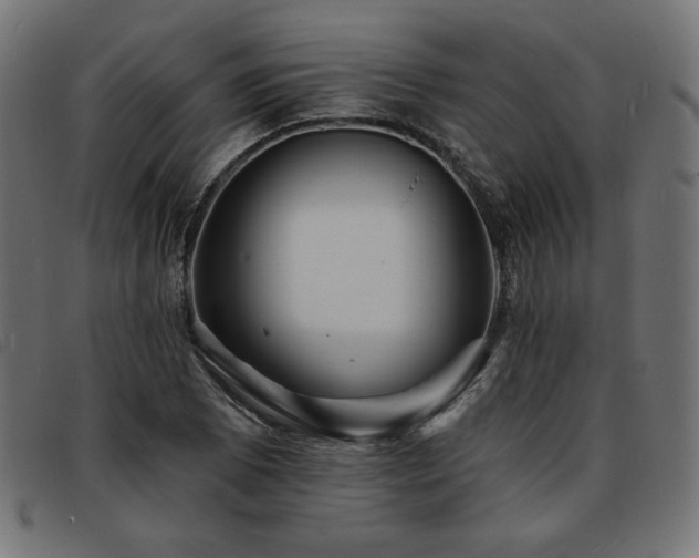 X0000093761073200710161219
