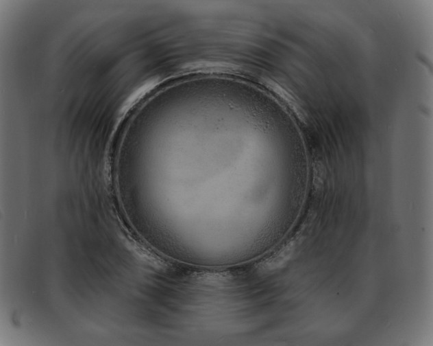X0000093761074200710161219