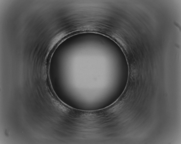 X0000093761075200710161219