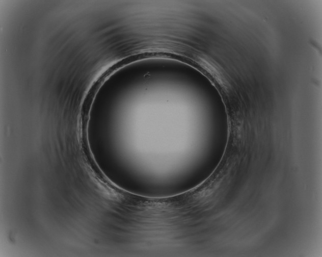 X0000093761076200710161219