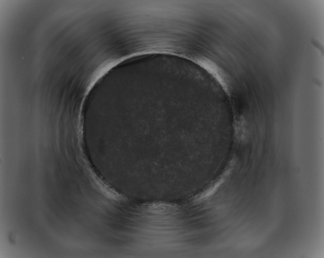 X0000093761077200710161219