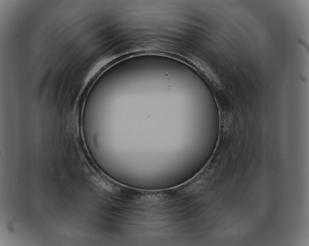 X0000093761078200710161219