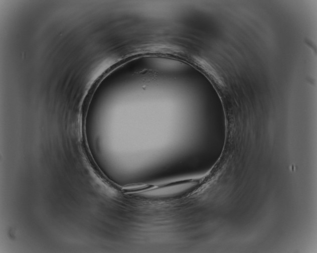 X0000093761079200710161219