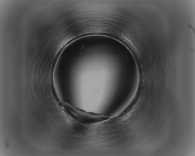X0000093761081200710161218