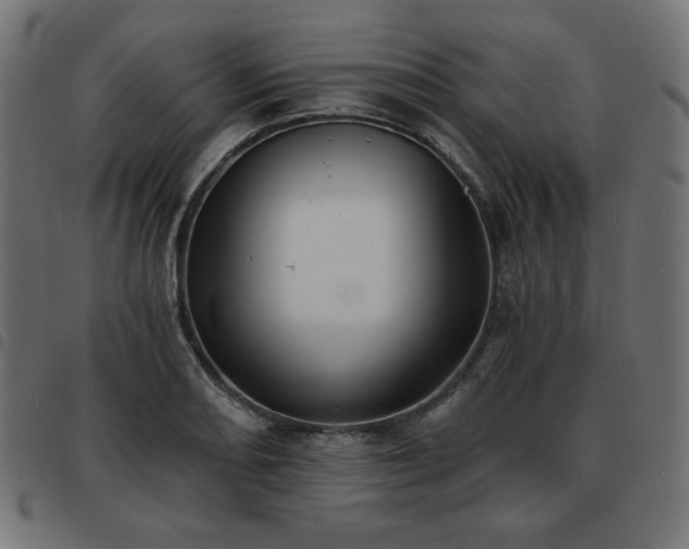 X0000093761082200710161218