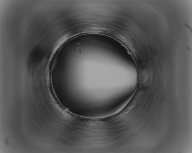X0000093761083200710161218