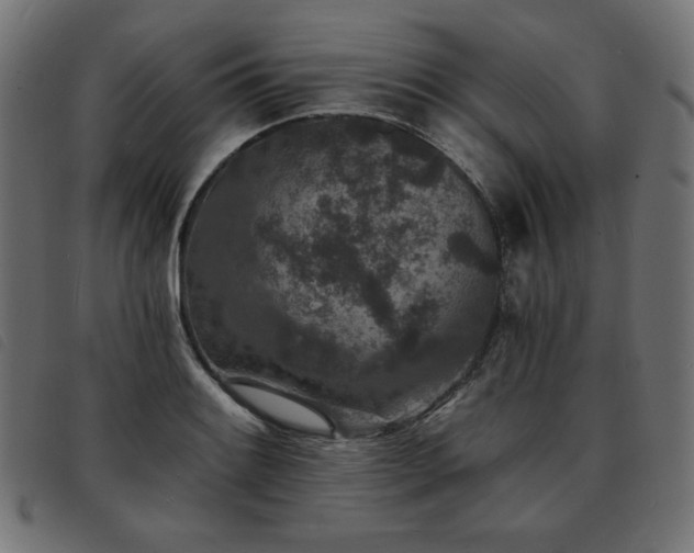 X0000093761084200710161218