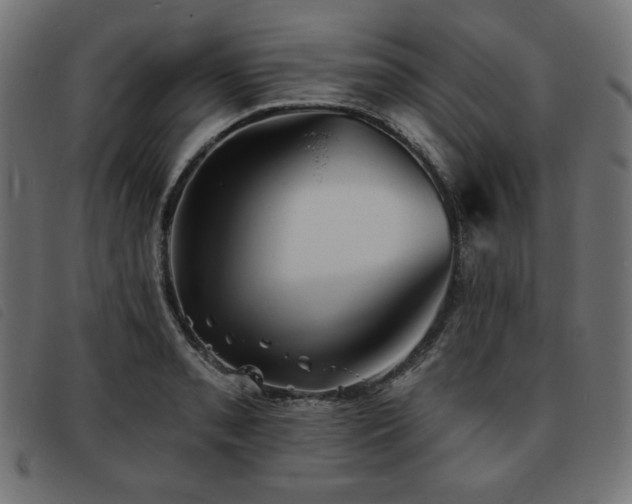 X0000093761085200710161218