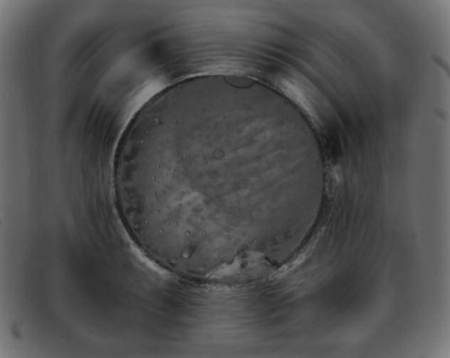 X0000093761087200710161218