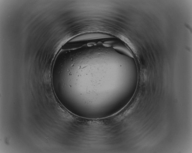 X0000093761089200710161218