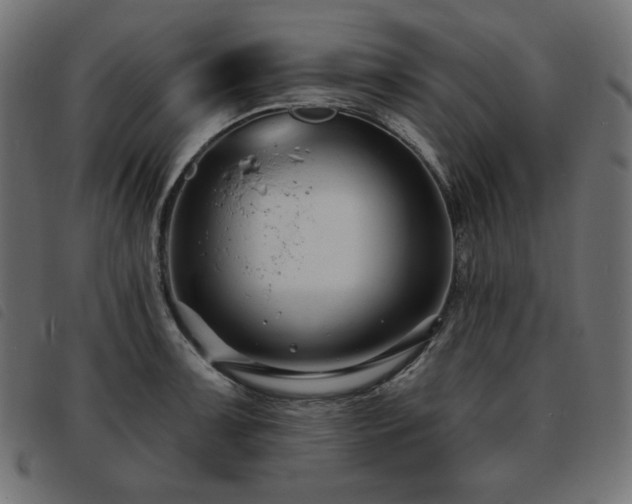X0000093761091200710161218