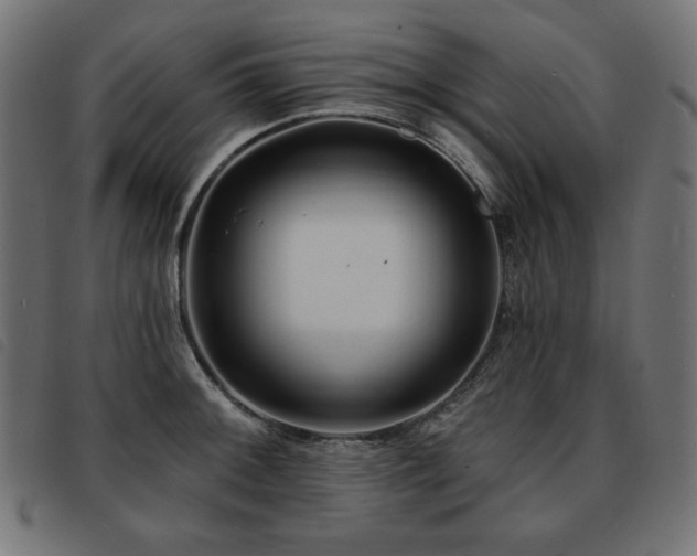 X0000093761092200710161218