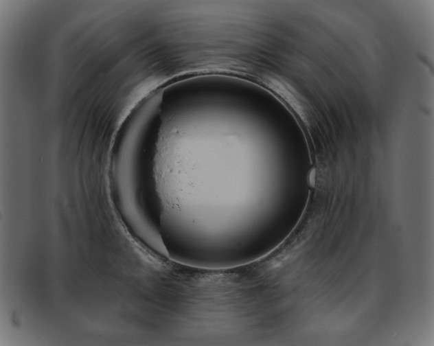 X0000093761093200710161218