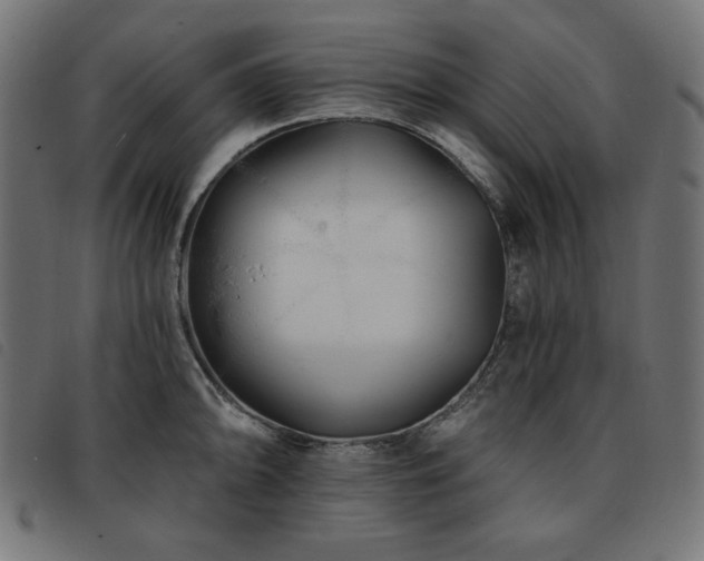X0000093761094200710161218