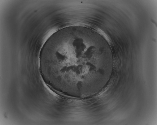 X0000093761095200710161218