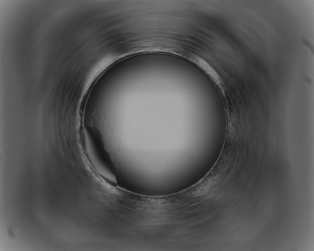 X0000093761096200710161218