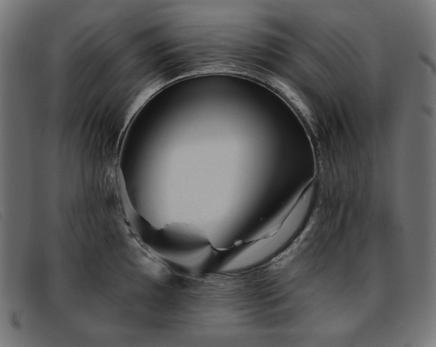 X0000093761097200710161218