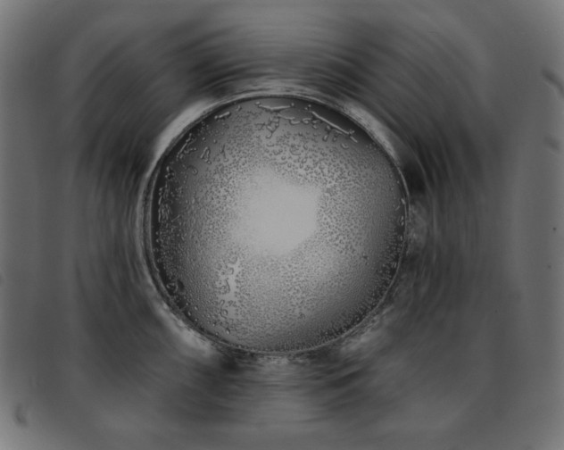 X0000093761098200710161218