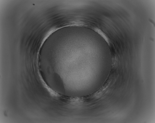 X0000093761099200710161218