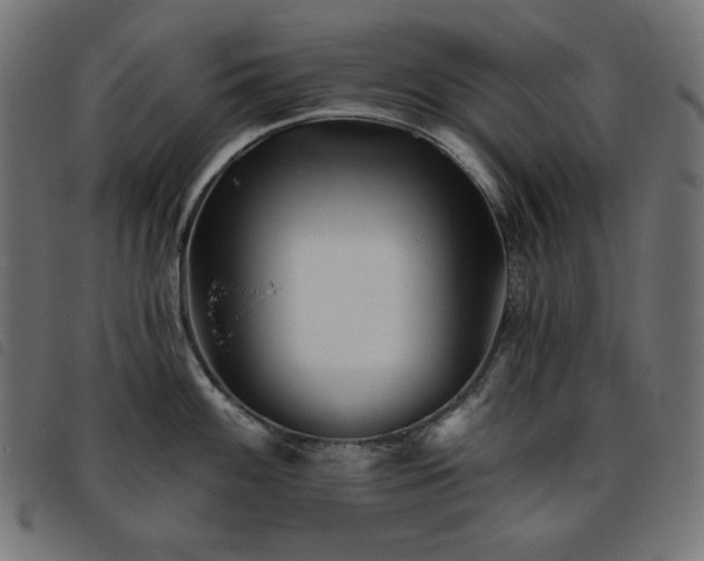 X0000093761100200710161218
