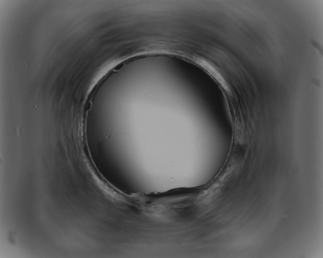 X0000093761101200710161218