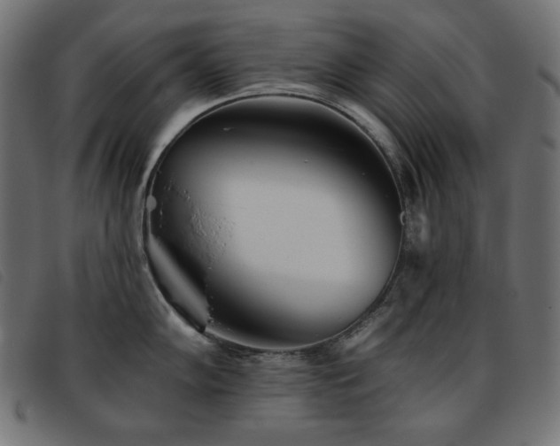 X0000093761102200710161218