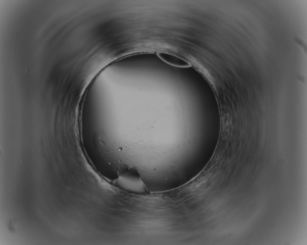 X0000093761103200710161218