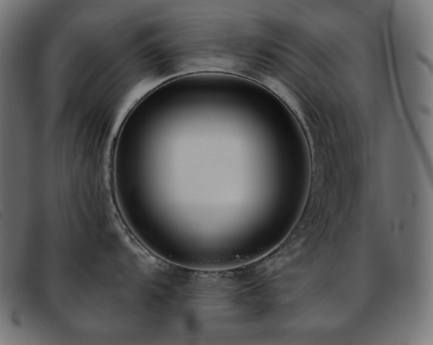 X0000093761104200710161218