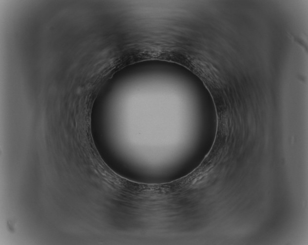 X0000093761105200710161218