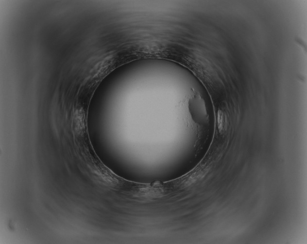 X0000093761107200710161218