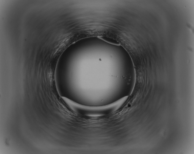 X0000093761108200710161218