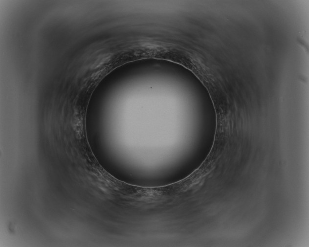 X0000093761109200710161218