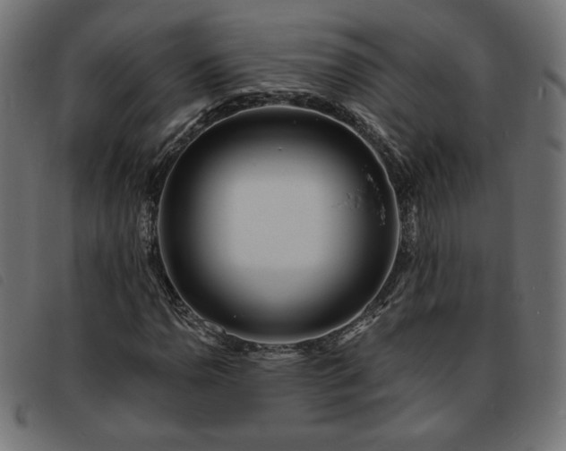 X0000093761110200710161218