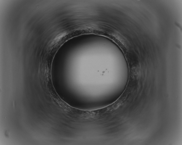 X0000093761111200710161218