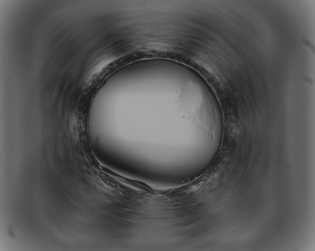 X0000093761112200710161218
