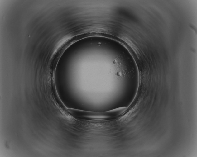X0000093761115200710161218
