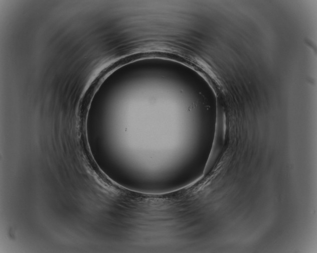 X0000093761116200710161218