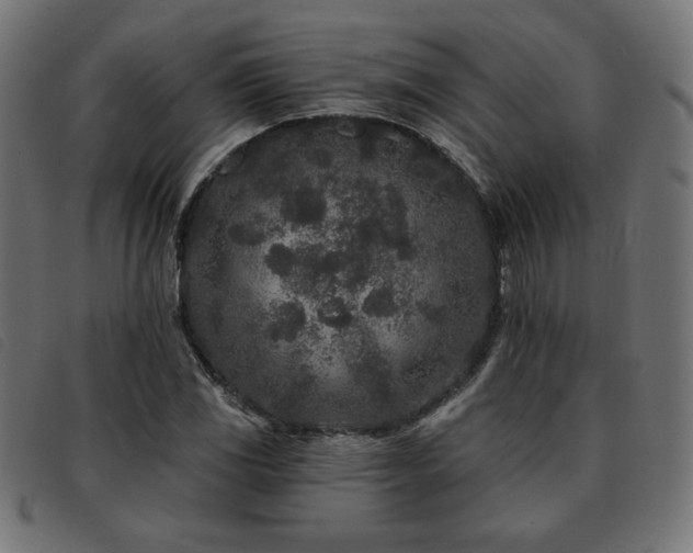 X0000093761117200710161218