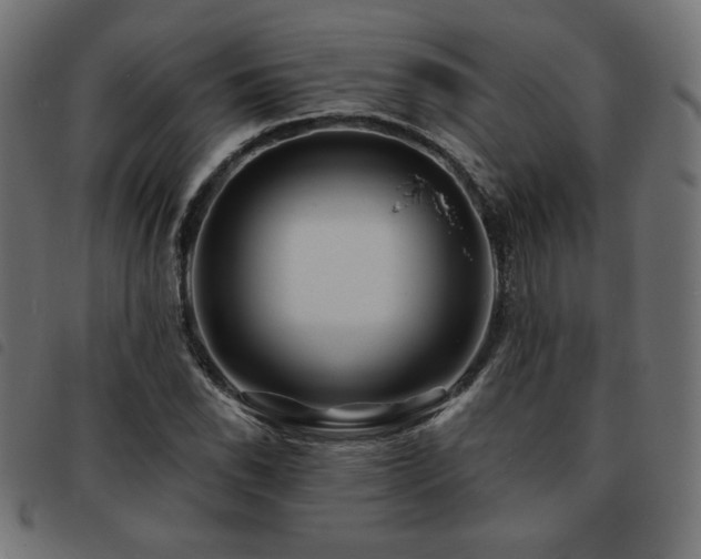 X0000093761118200710161218