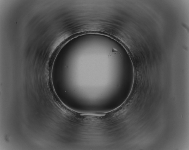 X0000093761119200710161218