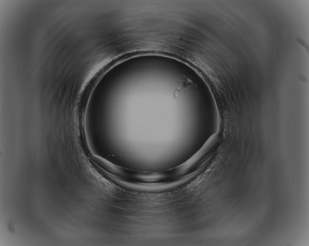 X0000093761120200710161218